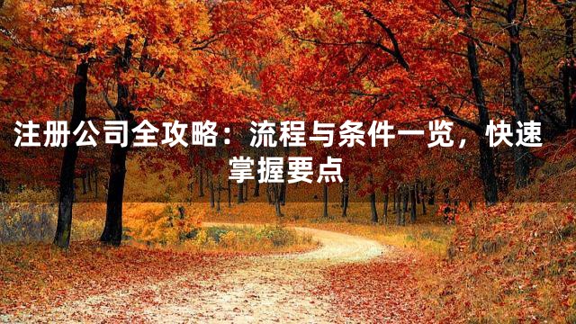 注冊(cè)公司全攻略：流程與條件一覽，快速掌握要點(diǎn)